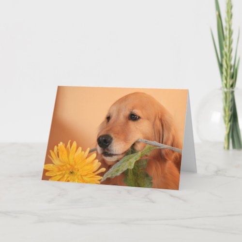 Golden Retriever With Flower Card