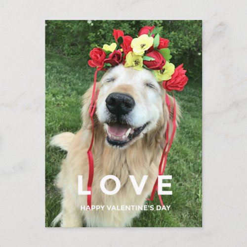 Golden Retriever With Flower Crown Valentines Day Holiday Postcard
