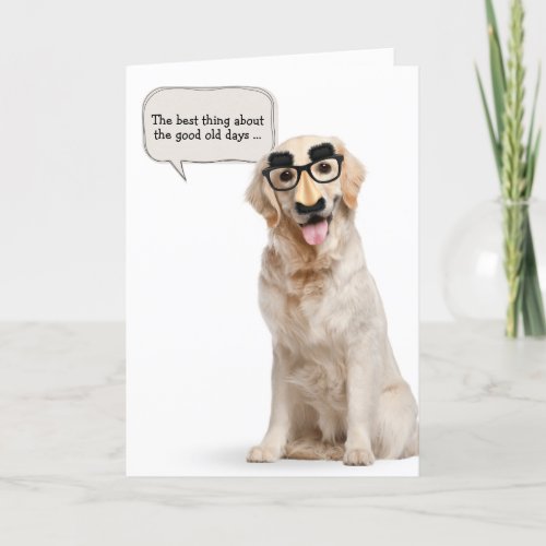 Golden Retriever with funny mask birthday Card