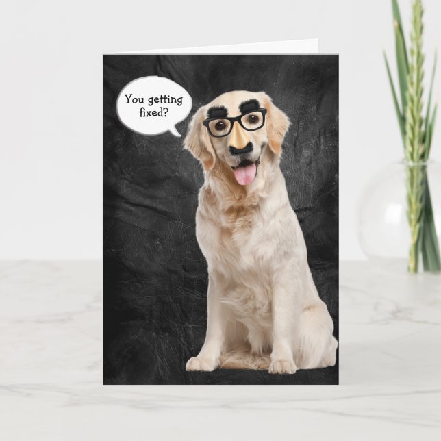 Golden Retriever with funny mask for vasectomy Card (Front)