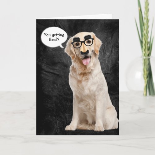 Golden Retriever with funny mask for vasectomy Card