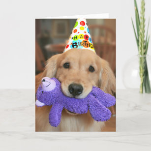 Golden Retriever With Happy Birthday Hat and Toy Card