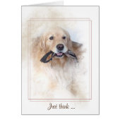 golden retriever with leash in mouth (Front)