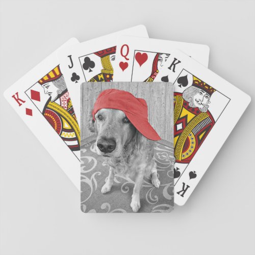Golden Retriever with red cap Playing Cards