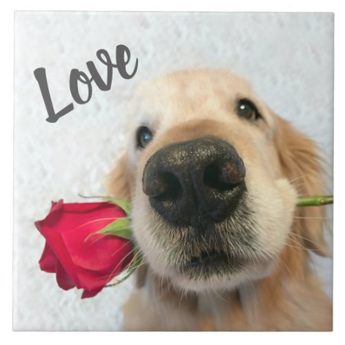 Golden Retriever With Red Rose Valentine Love Ceramic Tile