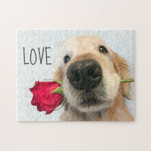 Golden Retriever With Red Rose Valentine Love Jigsaw Puzzle