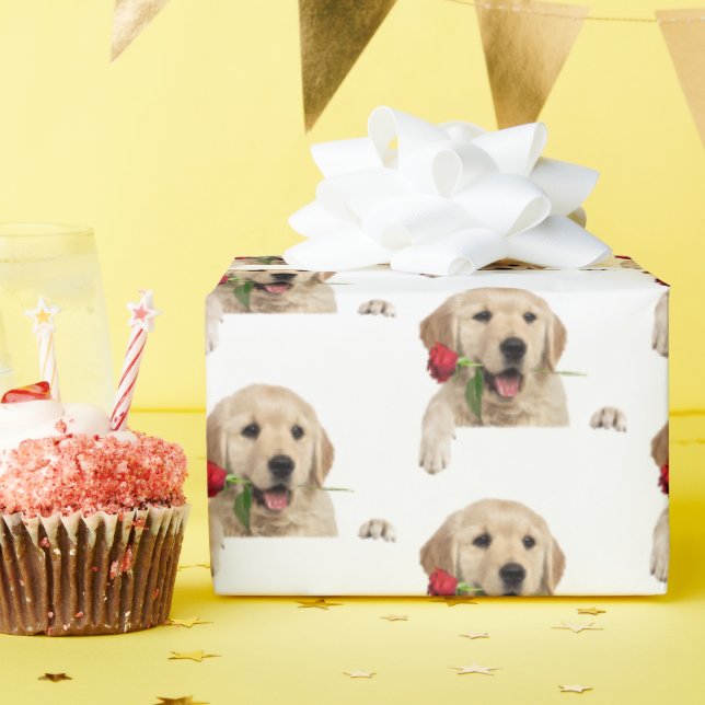 golden retriever with red rose wrapping paper (Birthday Party)