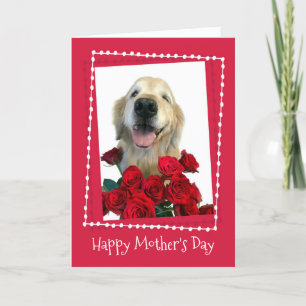 Golden Retriever With Red Roses Mother's Day Card