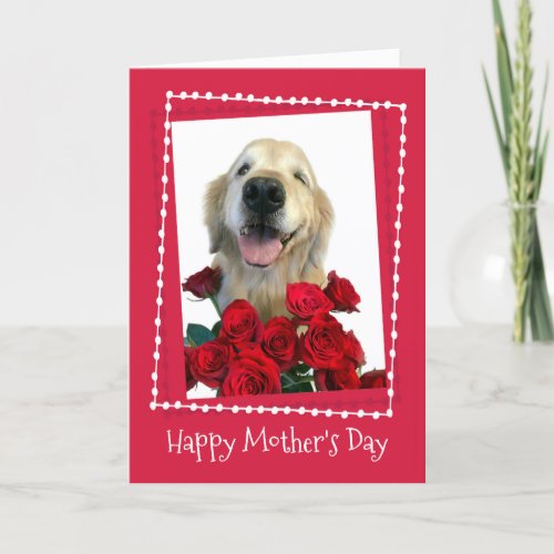 Golden Retriever With Red Roses Mothers Day Card