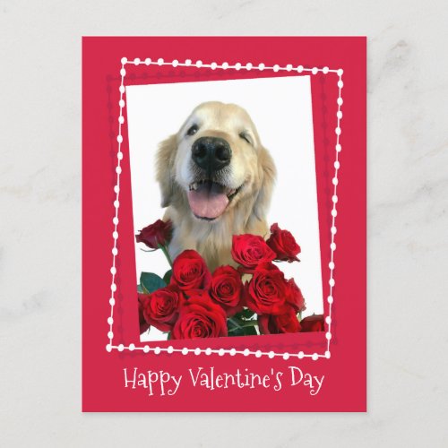 Golden Retriever With Red Roses Valentines Day Holiday Postcard