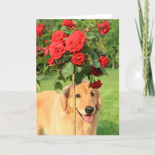 Golden Retriever With Roses Thinking of You Card