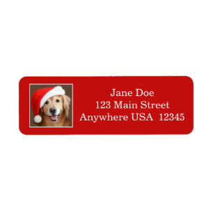 Golden Retriever With Santa Hat Label
