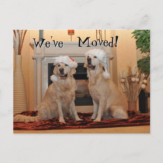 Golden Retriever with santa hats on a New Address Postcard (Front)