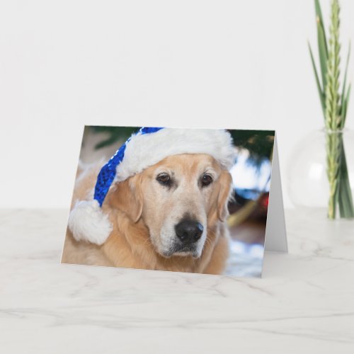 Golden Retriever with santas hat in Christmas Holiday Card