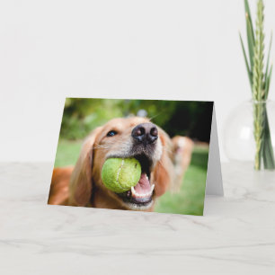 Golden Retriever With Tennis Ball Card