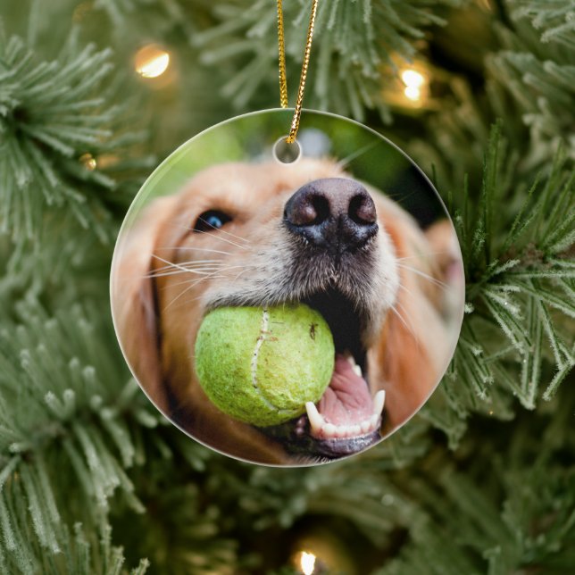Golden Retriever With Tennis Ball Ceramic Ornament (Tree)