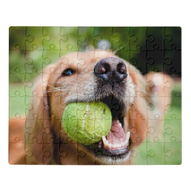 Golden Retriever With Tennis Ball Jigsaw Puzzle (Puzzle Horizontal)