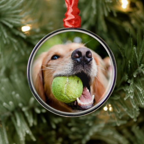 Golden Retriever With Tennis Ball Metal Ornament