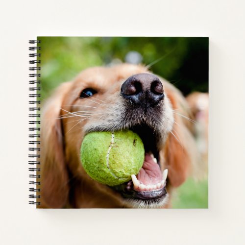 Golden Retriever With Tennis Ball Notebook