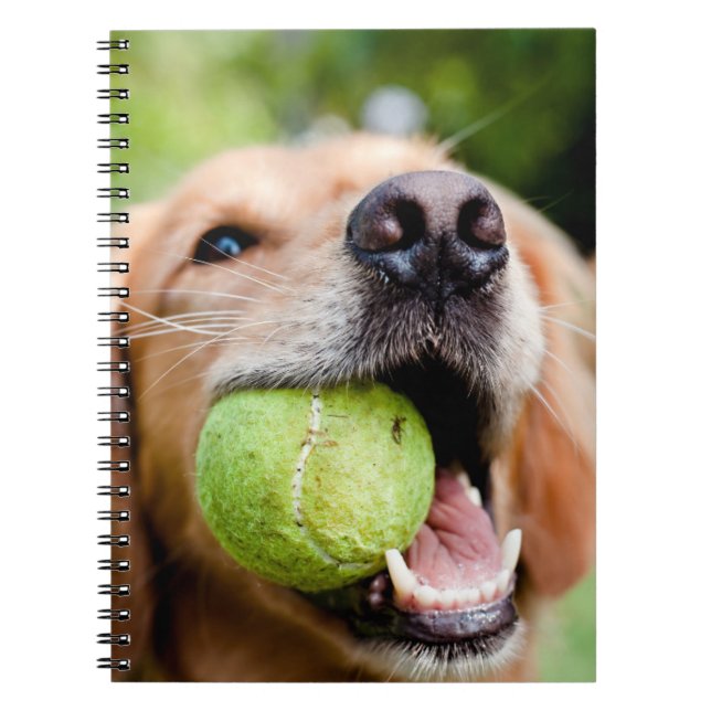 Golden Retriever With Tennis Ball Notebook (Front)
