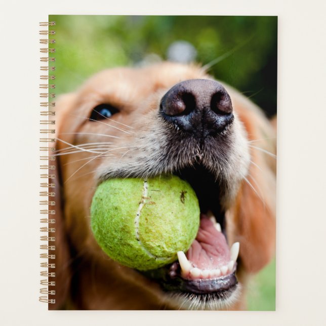 Golden Retriever With Tennis Ball Planner (Front)