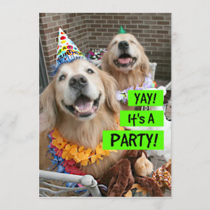 Golden Retriever Yay It's A Party Invitation