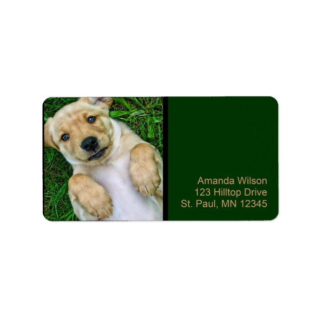 Golden Retriever Yellow Lab Puppy Address Labels (Front)