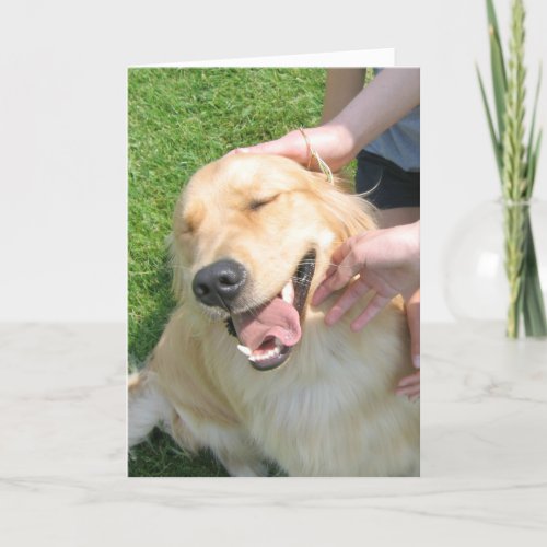 Golden Retriever You Did It Congrats Encouragement Card