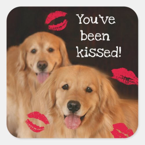 Golden Retriever Youve Been Kissed Square Sticker