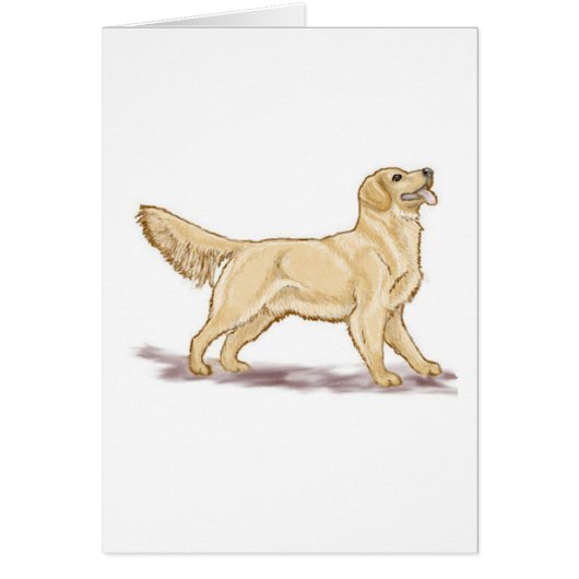 Golden Retrievers (Front)