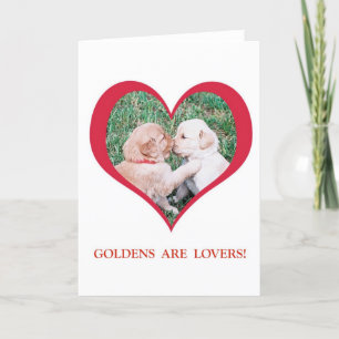 Golden Retrievers are Lovers! Valentine's Day Holiday Card