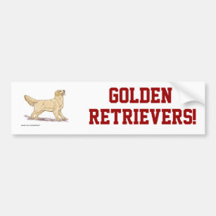 Golden Retrievers! Bumper Sticker