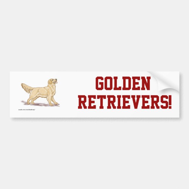 Golden Retrievers! Bumper Sticker (Front)