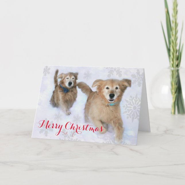 Golden Retrievers Dashing Thru the Snow Christmas Holiday Card (Front)