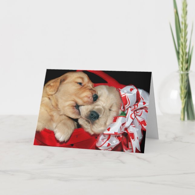 Golden Retrievers Humor for Newlyweds Holiday Card (Front)