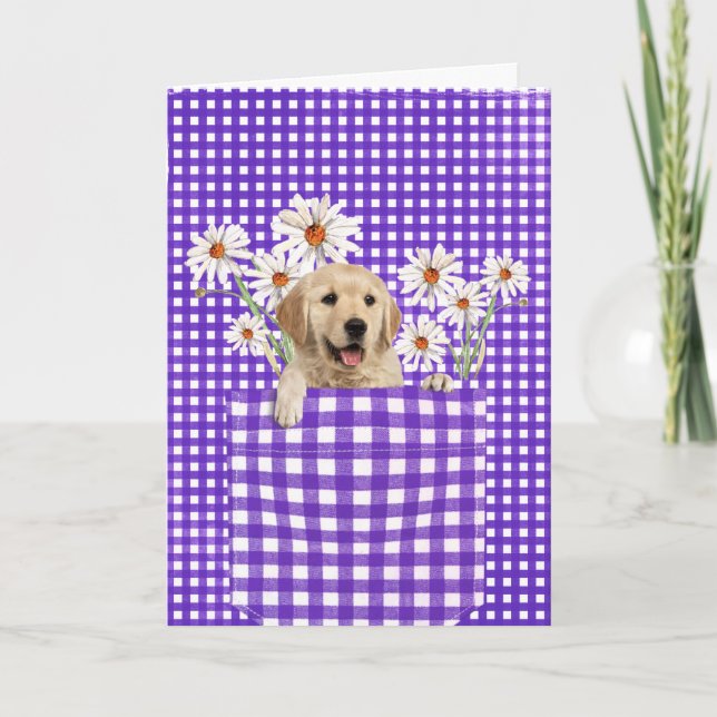 Golden Retrievers In Gingham Pocket Card (Front)