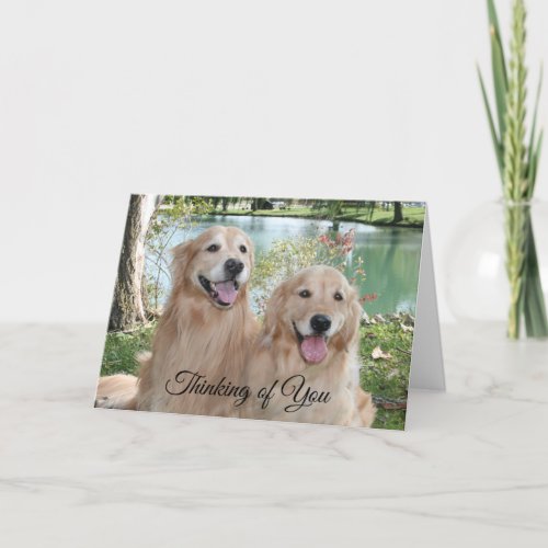 Golden Retrievers in the Park Thinking of You Card