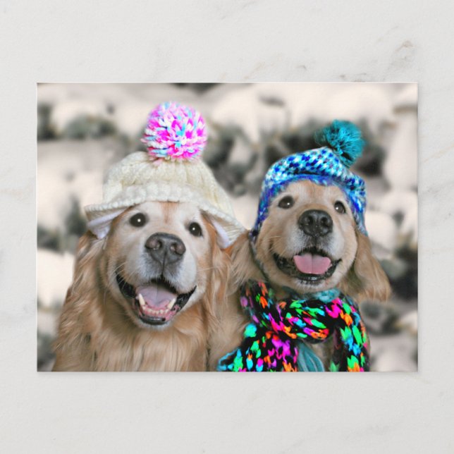 Golden Retrievers in Winter Hats Holiday Christmas (Front)