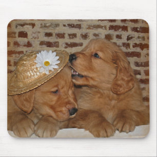 Golden Retrievers Mouse Pad