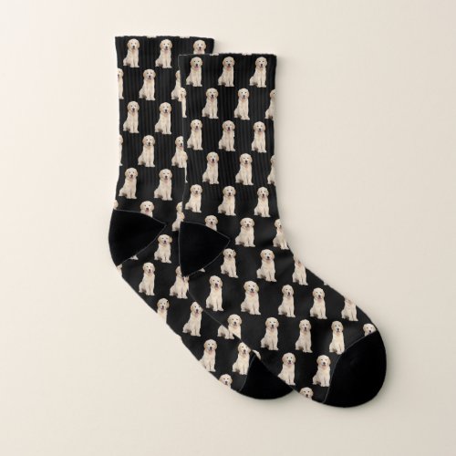 Golden Retrievers On Black Socks