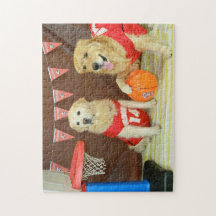 Golden Retrievers Playing Basketball