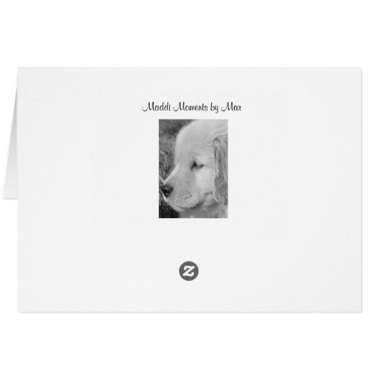 Golden Retrievers Watching (Back Horizontal)