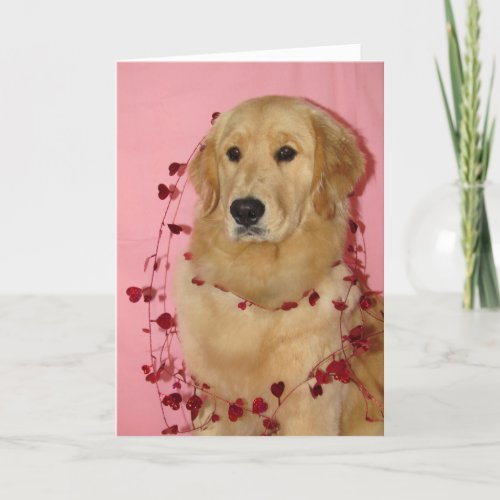 Golden Retriver Valentines Day Card