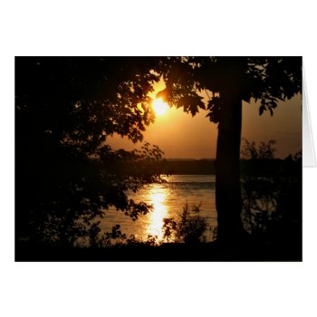 Golden River Sunset by deemac1 at Zazzle