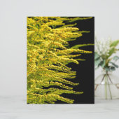 Golden rod gold diamond (Standing Front)