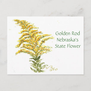 Golden Rod, Post Card