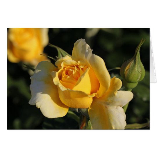 Golden Rose Card