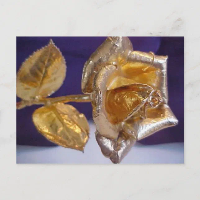 Golden rose - forever love postcard | Zazzle