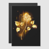 Golden rose ( gold rose ) (Front/Back)