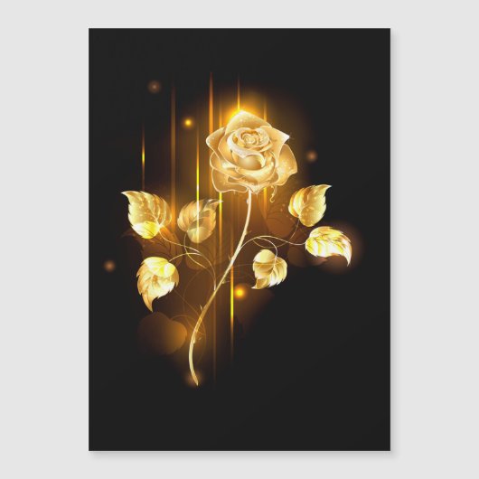 Golden rose ( gold rose ) (Front)